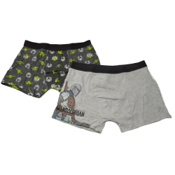 Pack 2 Boxers Gris The...