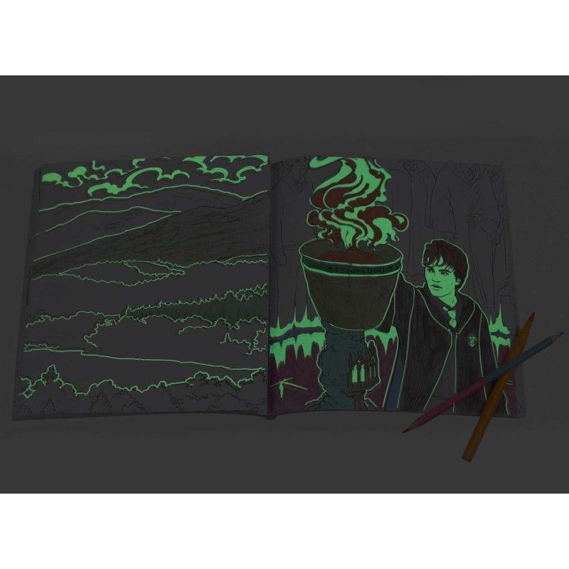 Harry Potter Libro ✨ Brilla Oscuridad