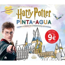 Libro Harry Potter Pinta...